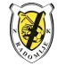 NK Radomlje