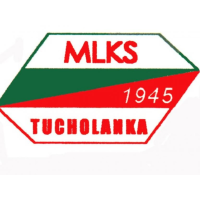TUCHOLANKA E-SZYBY.PL TUCHOLA-logo