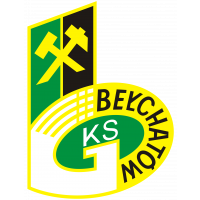 GKS Bełchatów 2008