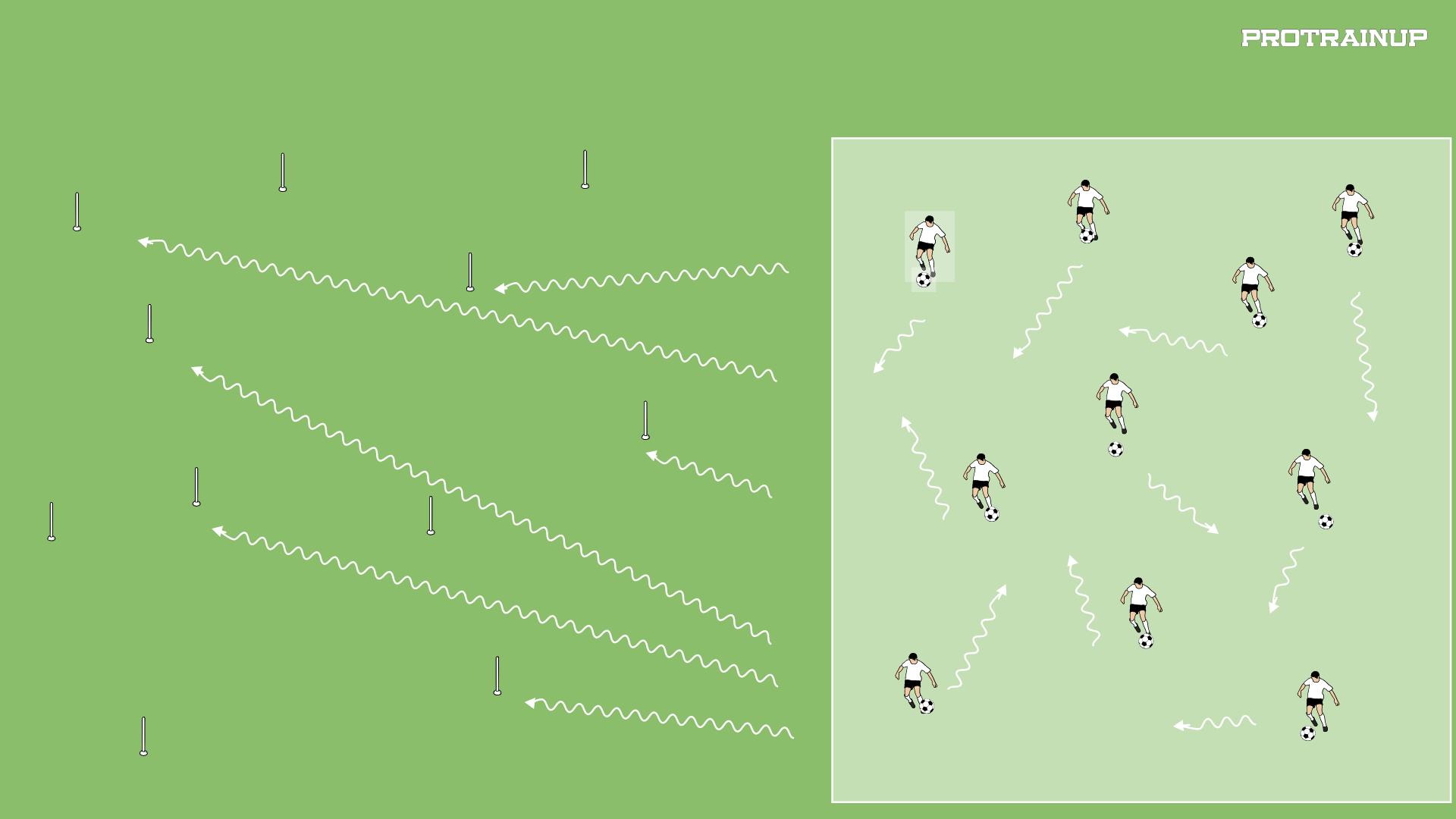 CZUCIE PIŁKI-SZYBKOŚĆ REAKCJI