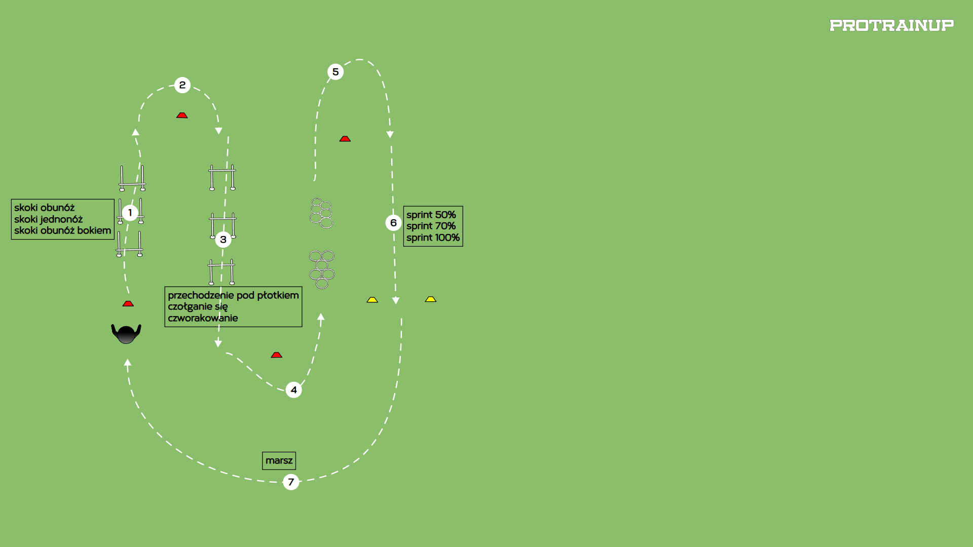 Kształtowanie zdolnosci motorycznych (skoczność + zwinność)